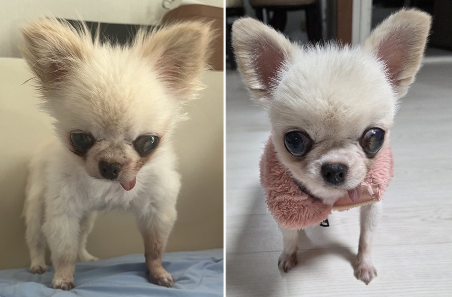 5676ca87691a0a9f72f6e8c618001a57_1761557581_7133.jpg 5676ca87691a0a9f72f6e8c618001a57_1761557581_7133.jpg