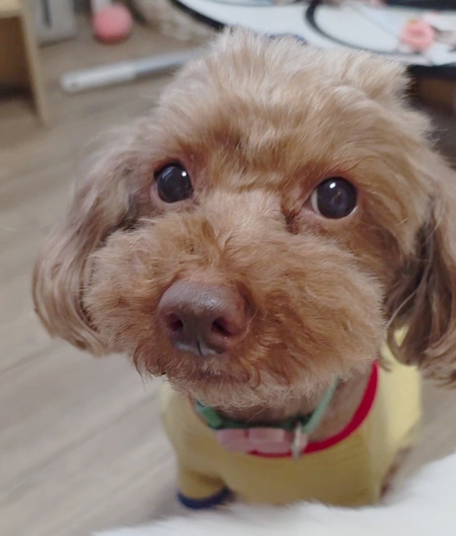 5d64ec1c7a7f883a40ab0e9b35ad2867_1761036613_6684.jpg 5d64ec1c7a7f883a40ab0e9b35ad2867_1761036613_6684.jpg