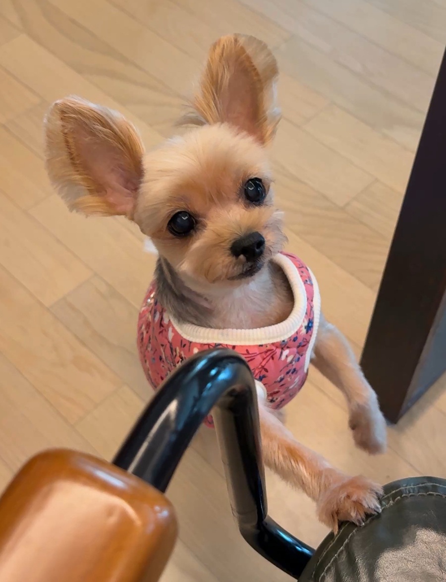 5d64ec1c7a7f883a40ab0e9b35ad2867_1761053224_2465.jpg 5d64ec1c7a7f883a40ab0e9b35ad2867_1761053224_2465.jpg