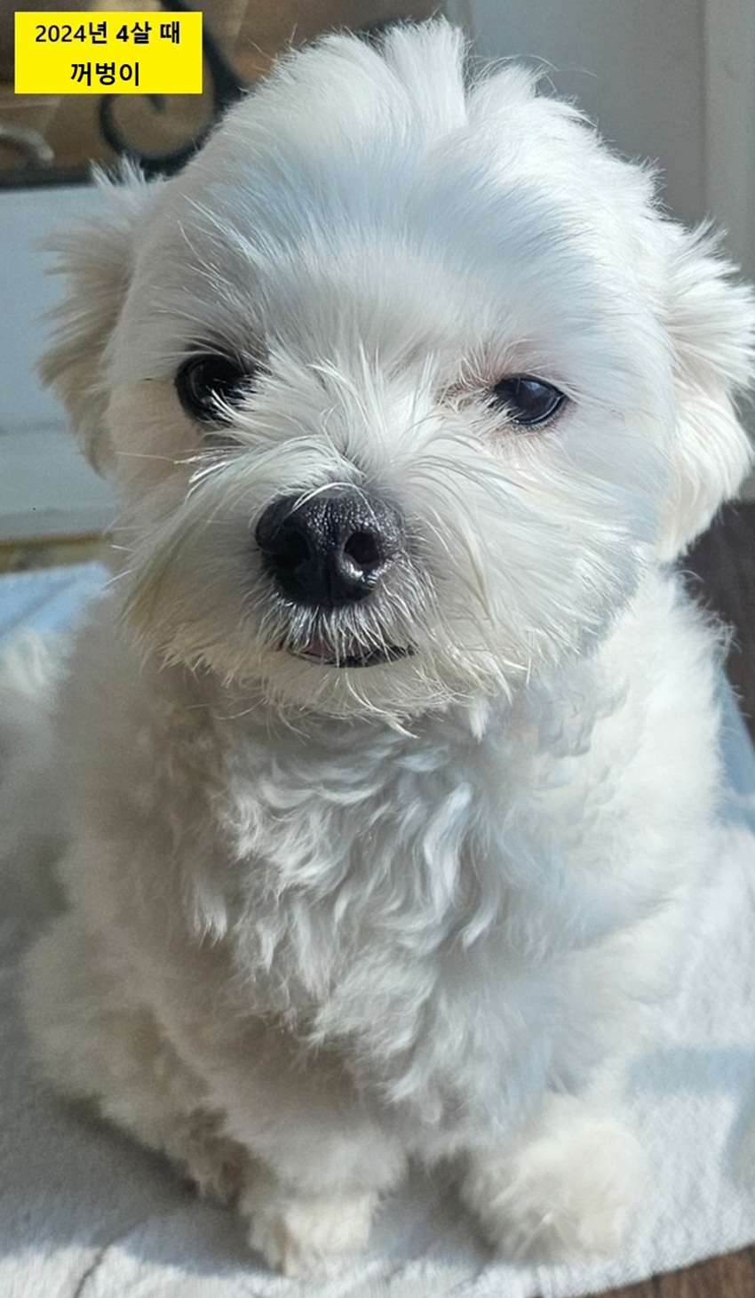 68864f303be2299736f3959a0644436b_1760591349_8269.jpg 68864f303be2299736f3959a0644436b_1760591349_8269.jpg