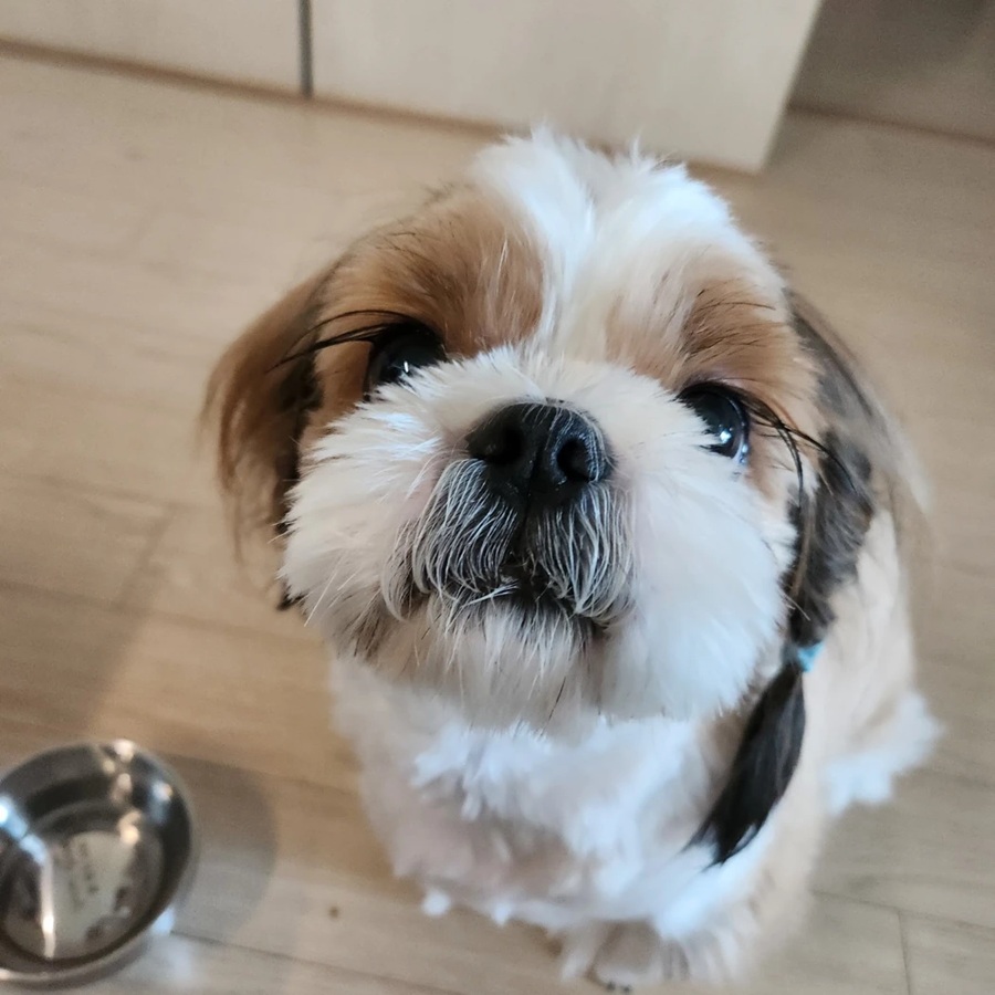 74a1d0029d5b359b0ddcf42a288321d7_1759820288_5272.jpg 74a1d0029d5b359b0ddcf42a288321d7_1759820288_5272.jpg