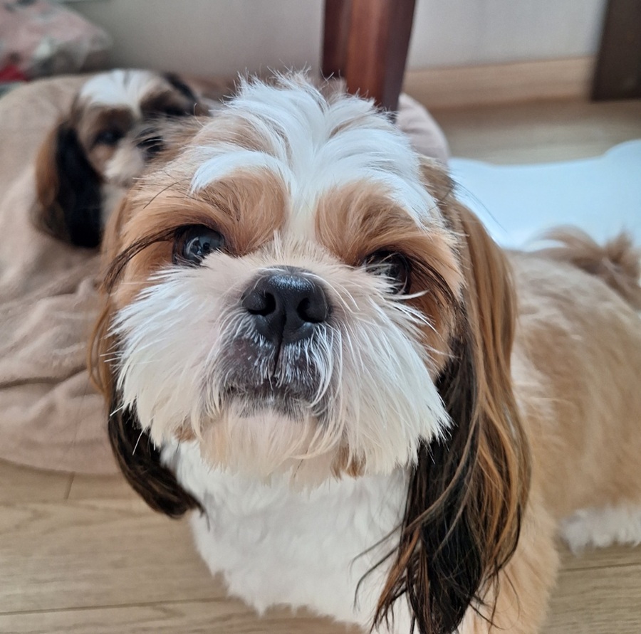 74a1d0029d5b359b0ddcf42a288321d7_1759820329_978.jpg 74a1d0029d5b359b0ddcf42a288321d7_1759820329_978.jpg