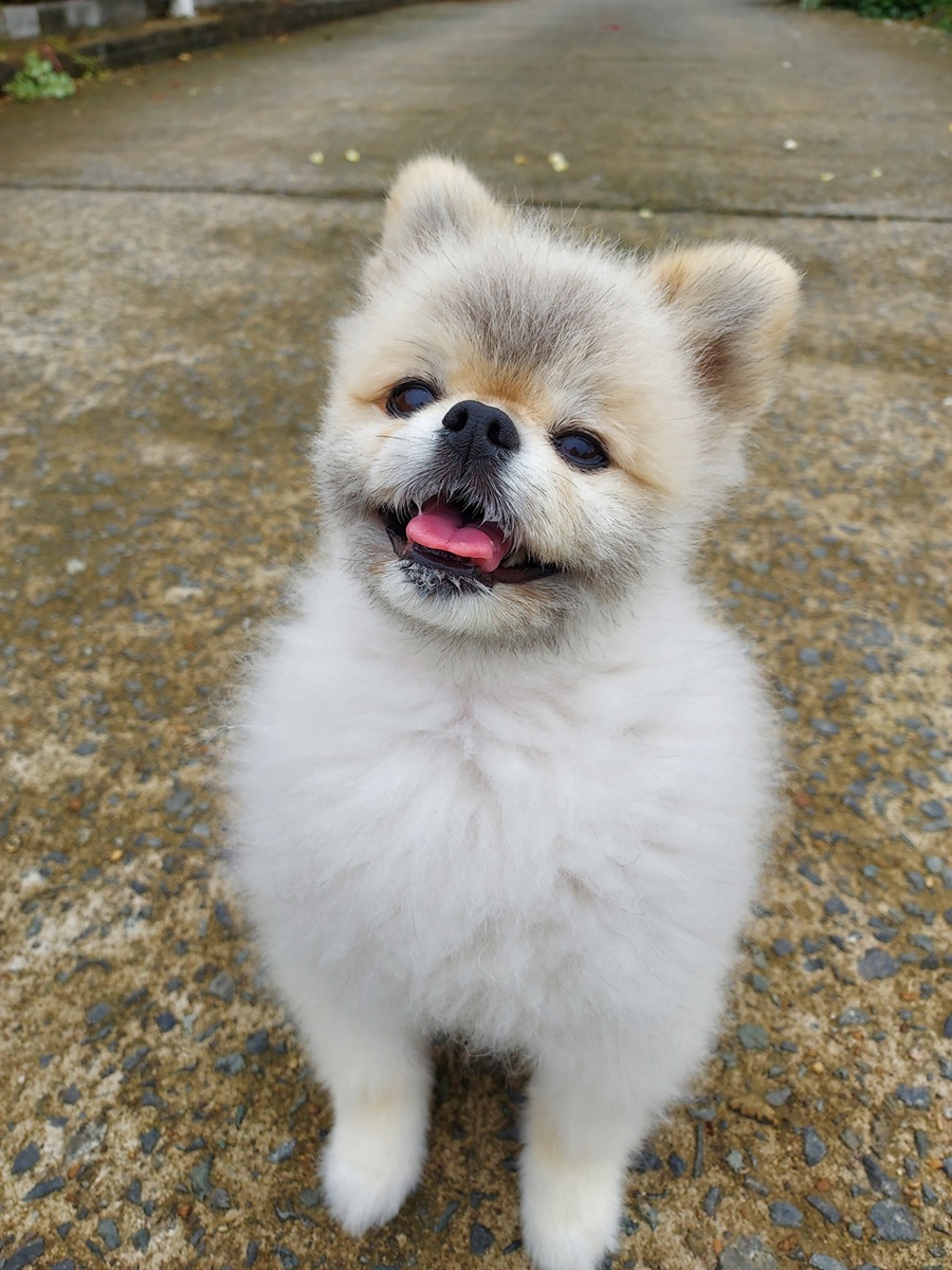 be24226f8be47eb2dd53713f205fdfc2_1759588582_9.jpg be24226f8be47eb2dd53713f205fdfc2_1759588582_9.jpg