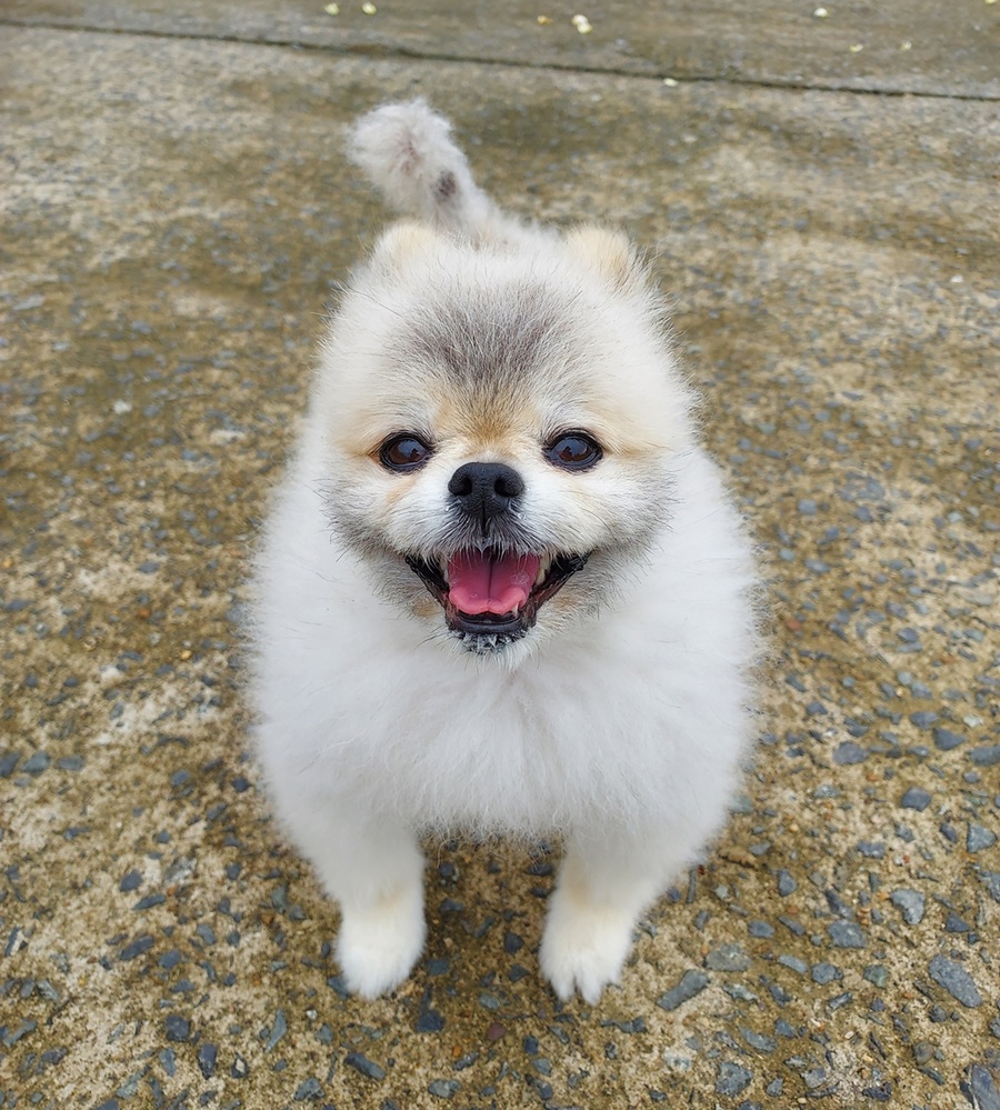 be24226f8be47eb2dd53713f205fdfc2_1759588619_0333.jpg be24226f8be47eb2dd53713f205fdfc2_1759588619_0333.jpg