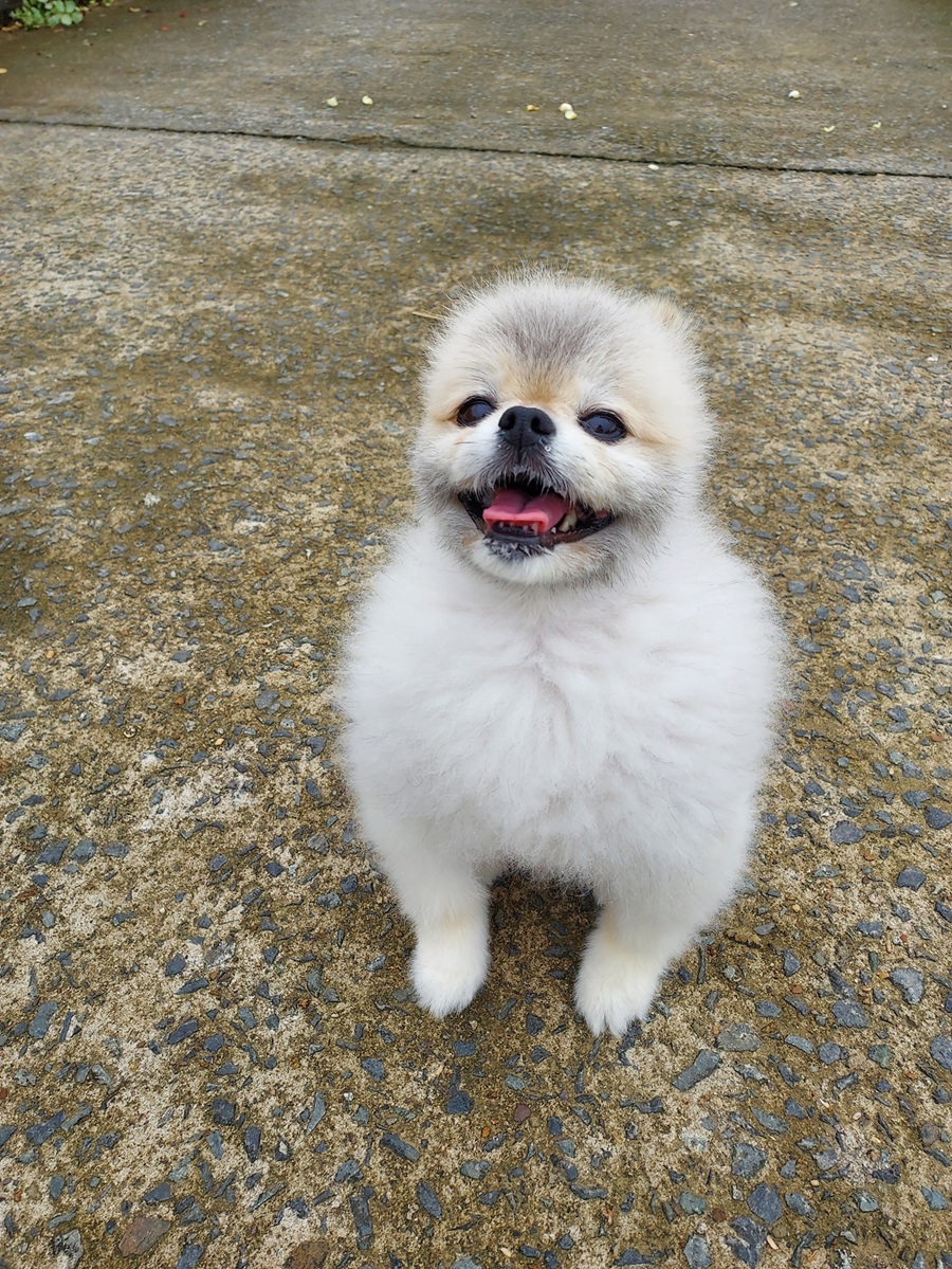 be24226f8be47eb2dd53713f205fdfc2_1759588653_2944.jpg be24226f8be47eb2dd53713f205fdfc2_1759588653_2944.jpg