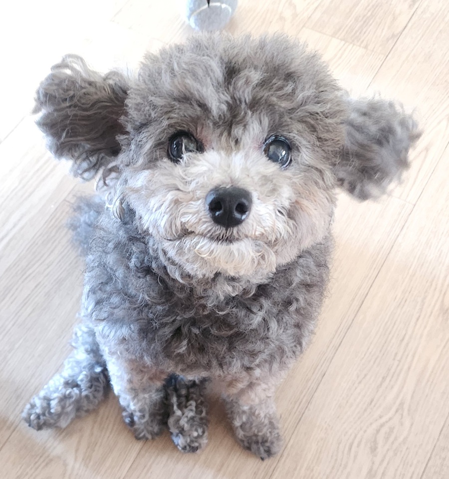 cf3c00798b23abeb69ecd88f3836c689_1761209881_3076.jpg cf3c00798b23abeb69ecd88f3836c689_1761209881_3076.jpg