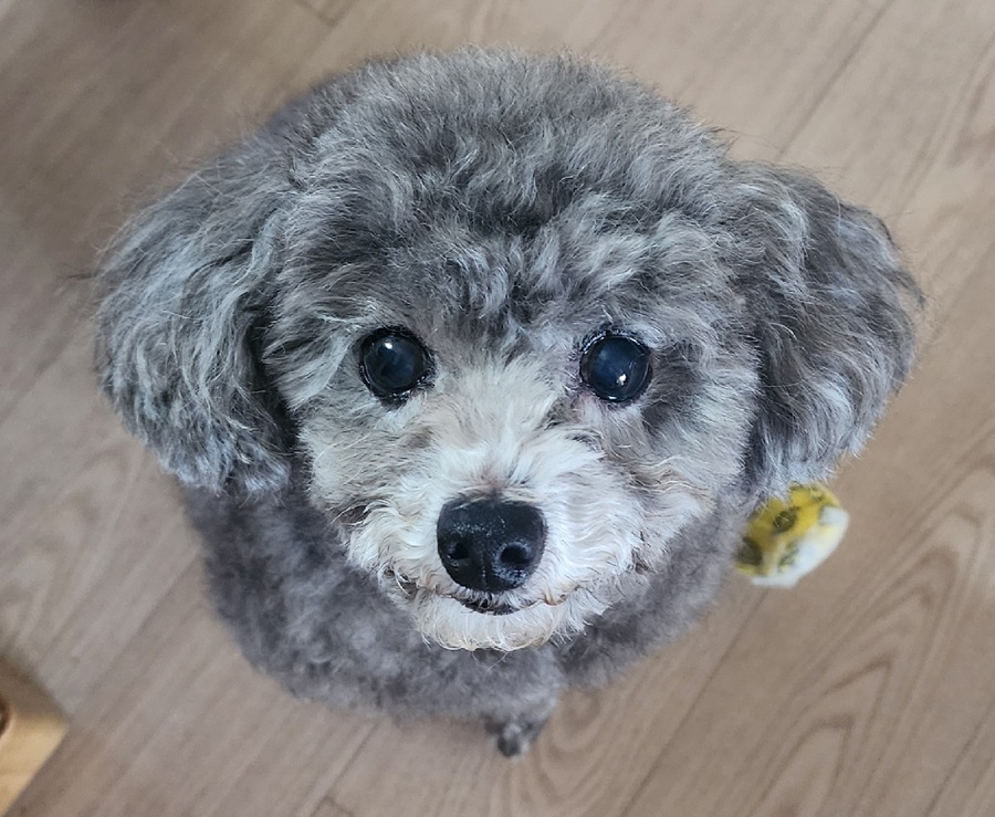 cf3c00798b23abeb69ecd88f3836c689_1761209967_6245.jpg cf3c00798b23abeb69ecd88f3836c689_1761209967_6245.jpg