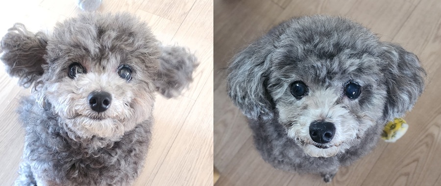 cf3c00798b23abeb69ecd88f3836c689_1761210075_0153.jpg cf3c00798b23abeb69ecd88f3836c689_1761210075_0153.jpg