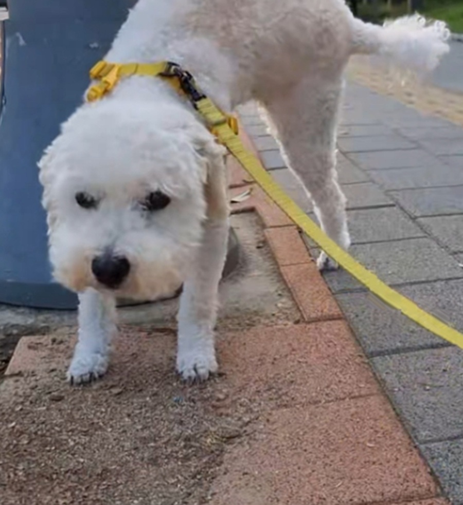 cf3c00798b23abeb69ecd88f3836c689_1761361305_1069.jpg cf3c00798b23abeb69ecd88f3836c689_1761361305_1069.jpg