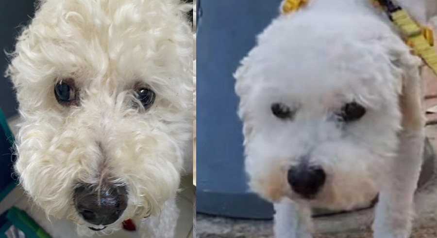 cf3c00798b23abeb69ecd88f3836c689_1761361483_5389.jpg cf3c00798b23abeb69ecd88f3836c689_1761361483_5389.jpg