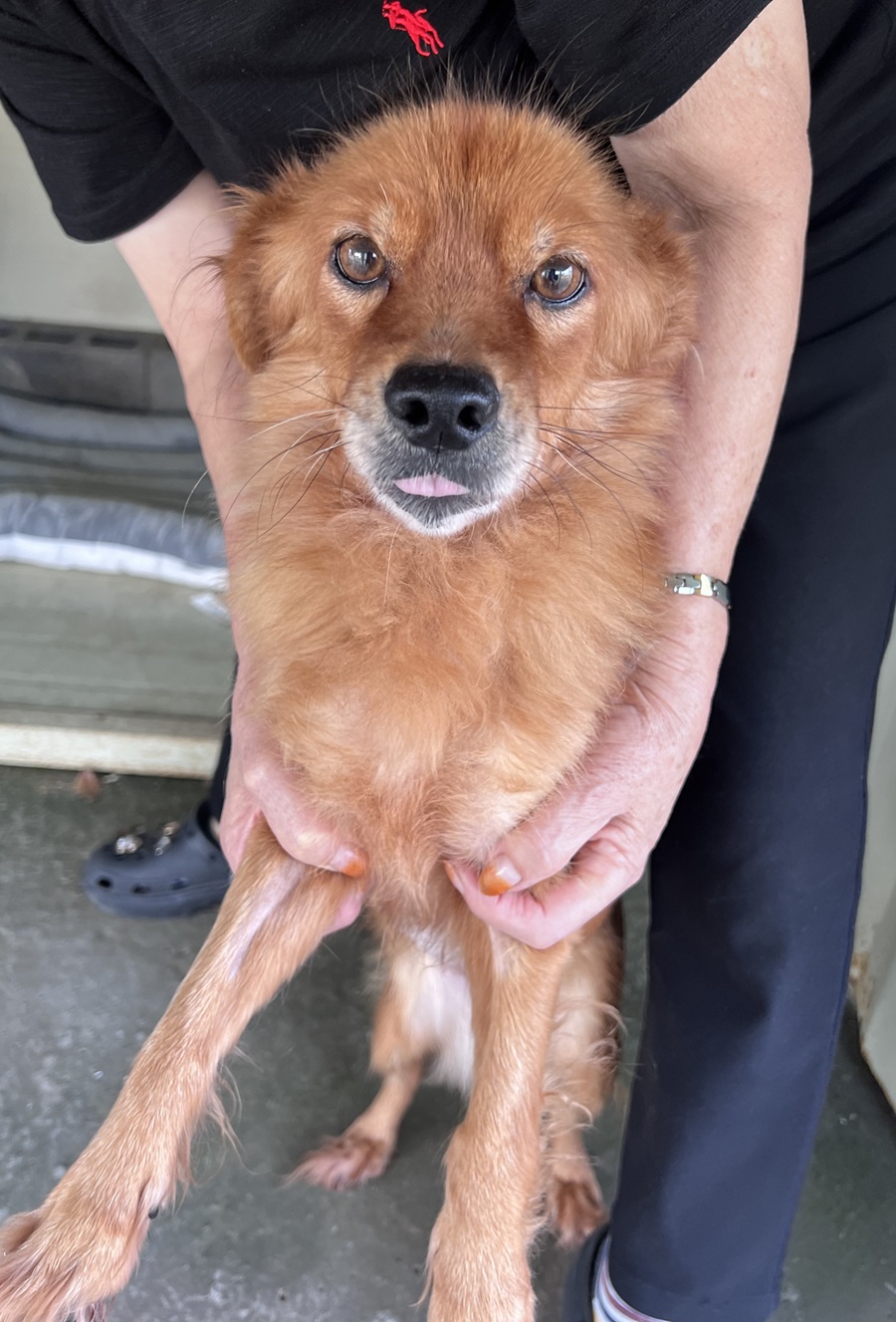 cf3c00798b23abeb69ecd88f3836c689_1761445355_035.jpg cf3c00798b23abeb69ecd88f3836c689_1761445355_035.jpg