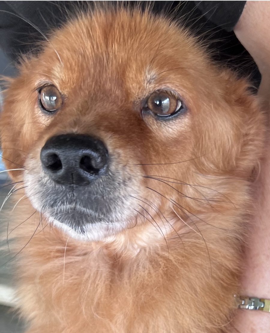 cf3c00798b23abeb69ecd88f3836c689_1761451974_5409.jpg cf3c00798b23abeb69ecd88f3836c689_1761451974_5409.jpg