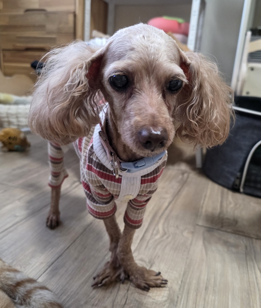 d6ec797b4812e8e519a46cb91337ac60_1760925781_4428.jpg d6ec797b4812e8e519a46cb91337ac60_1760925781_4428.jpg