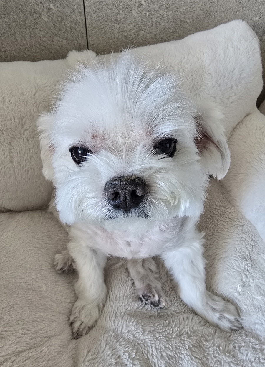 d6ec797b4812e8e519a46cb91337ac60_1760950323_6799.jpg d6ec797b4812e8e519a46cb91337ac60_1760950323_6799.jpg