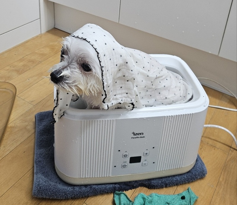 13477ae2930a4f4c7af77f7b1877452f_1762902117_1579.jpg 13477ae2930a4f4c7af77f7b1877452f_1762902117_1579.jpg