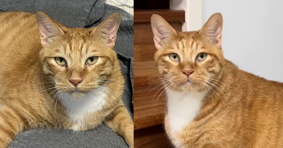 4f593fe1738ab44409e9a5a9a834b755_1762475074_7987.jpg 4f593fe1738ab44409e9a5a9a834b755_1762475074_7987.jpg