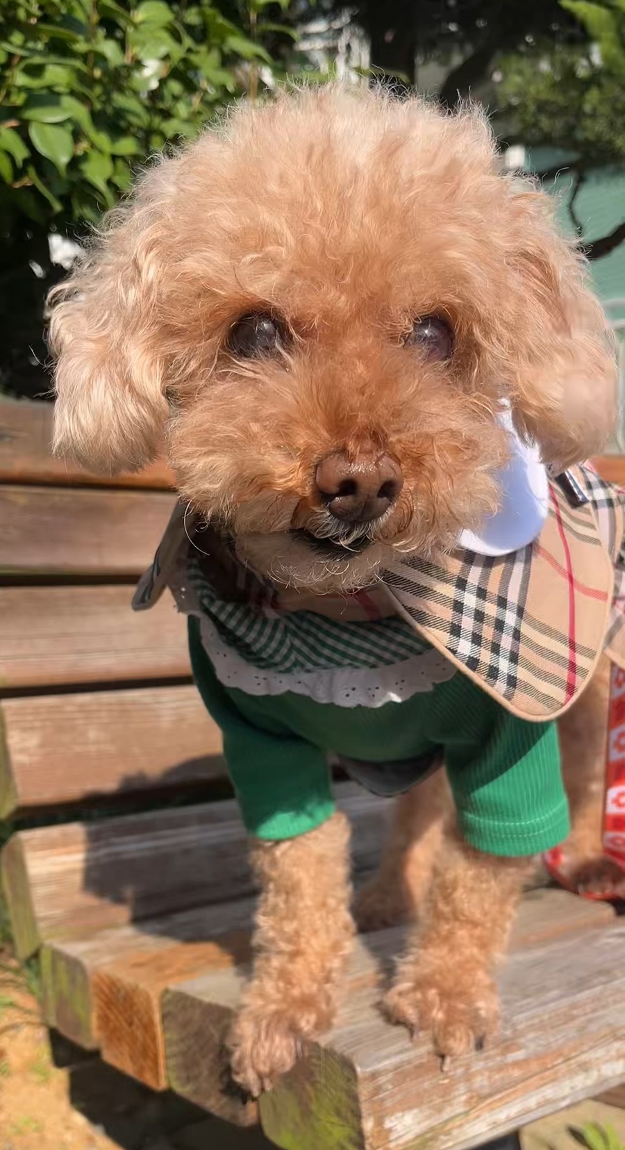 4f593fe1738ab44409e9a5a9a834b755_1762498767_2272.jpg 4f593fe1738ab44409e9a5a9a834b755_1762498767_2272.jpg