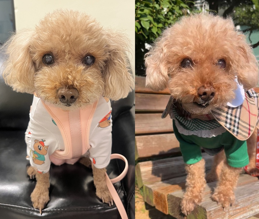 4f593fe1738ab44409e9a5a9a834b755_1762498848_1671.jpg 4f593fe1738ab44409e9a5a9a834b755_1762498848_1671.jpg