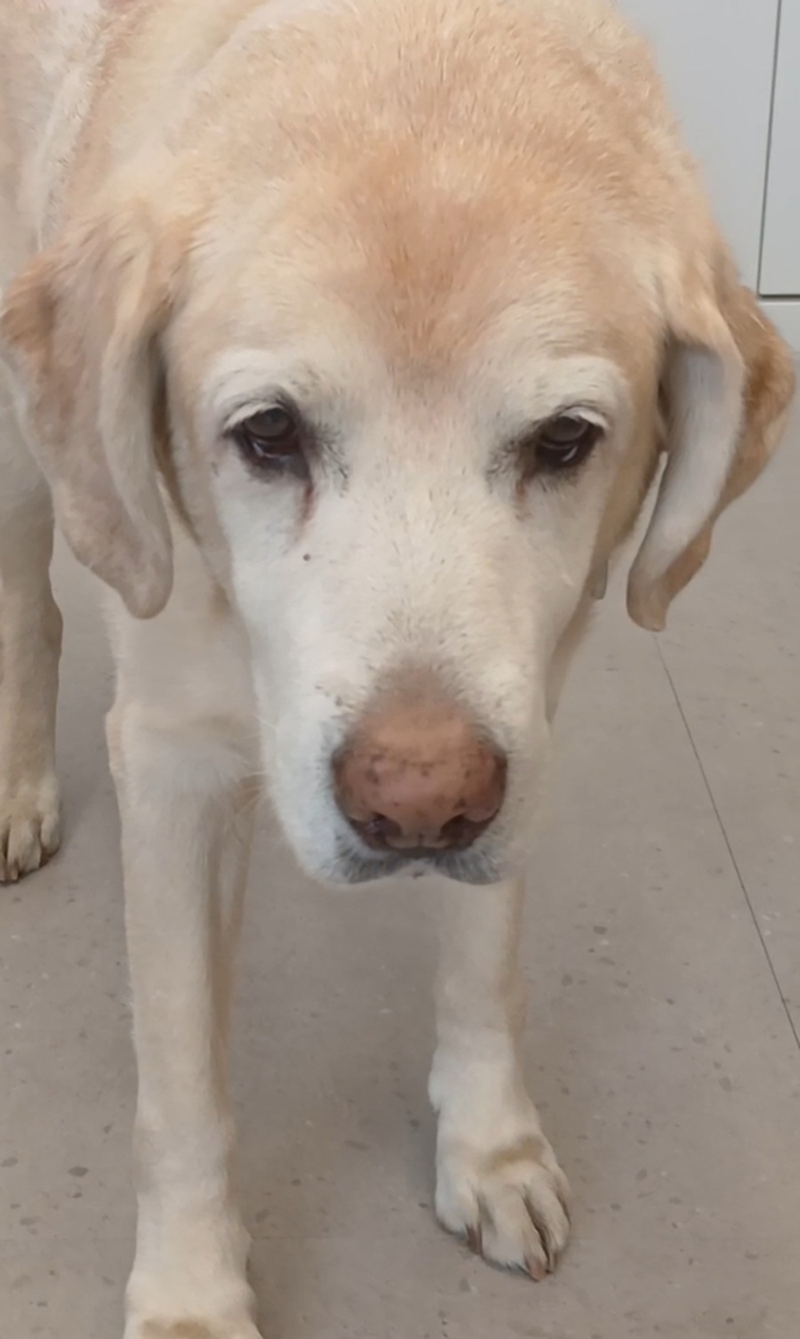 648b3ccc6f6022473859969626fd65ac_1763994948_8226.jpg 648b3ccc6f6022473859969626fd65ac_1763994948_8226.jpg