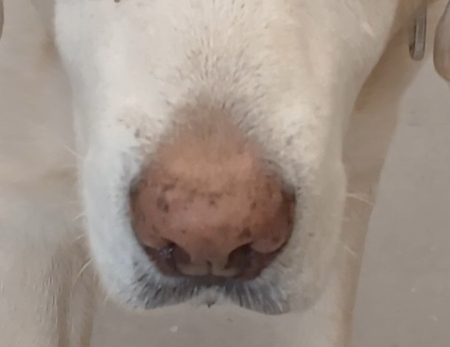 648b3ccc6f6022473859969626fd65ac_1764079928_6794.jpg 648b3ccc6f6022473859969626fd65ac_1764079928_6794.jpg