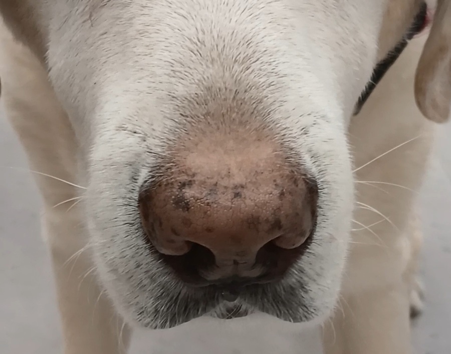 648b3ccc6f6022473859969626fd65ac_1764080113_084.jpg 648b3ccc6f6022473859969626fd65ac_1764080113_084.jpg