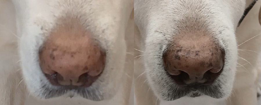 648b3ccc6f6022473859969626fd65ac_1764080160_898.jpg 648b3ccc6f6022473859969626fd65ac_1764080160_898.jpg