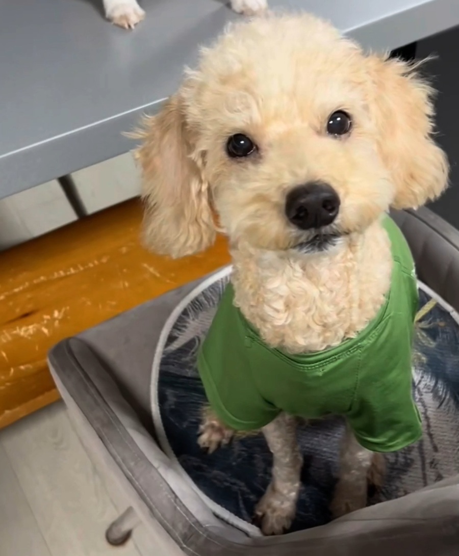 8905bea339e22e76ec17ca20f9dd9d03_1762385086_079.jpg 8905bea339e22e76ec17ca20f9dd9d03_1762385086_079.jpg