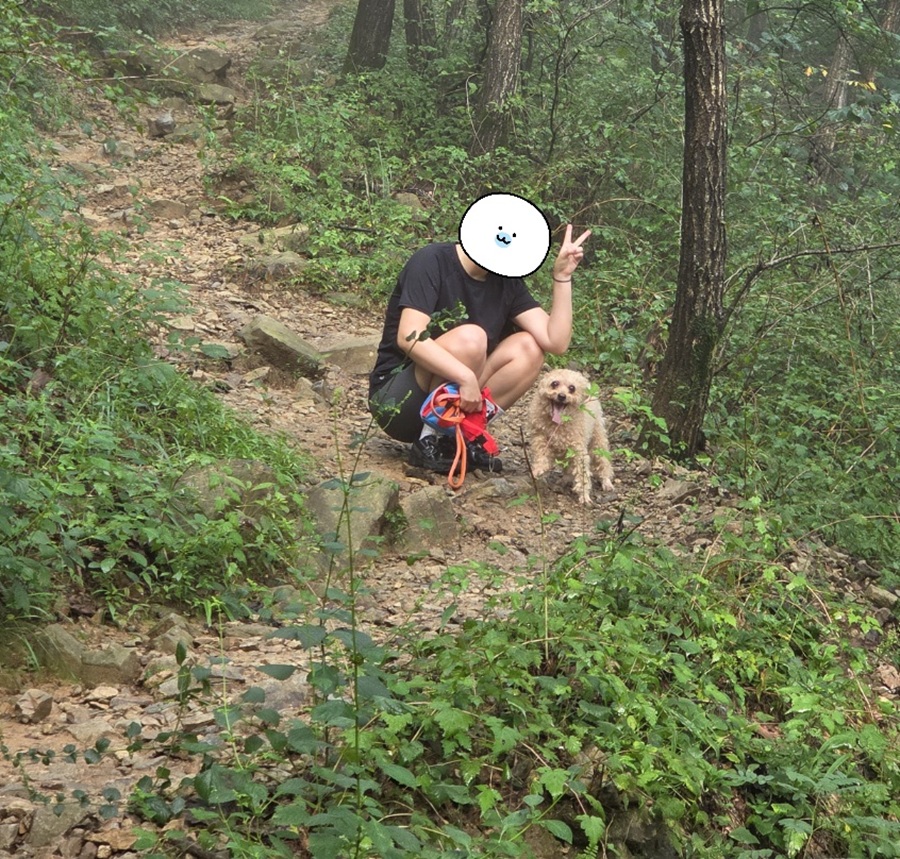 b45862cd0aa4f0ffbcdad6761f7b766f_1763380610_2218.jpg b45862cd0aa4f0ffbcdad6761f7b766f_1763380610_2218.jpg