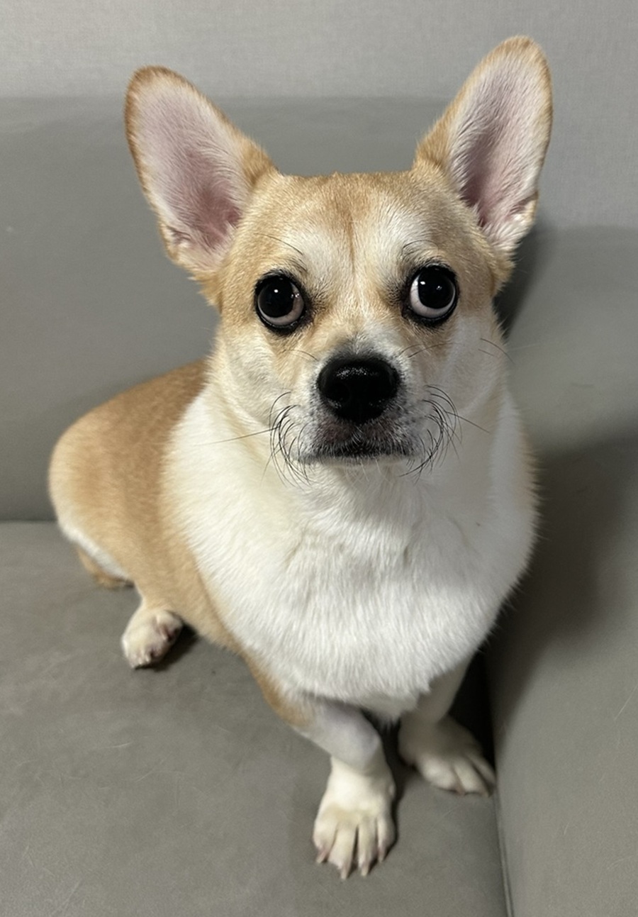 da340b5d4f964df638e195822fdc8186_1762816400_8253.jpg da340b5d4f964df638e195822fdc8186_1762816400_8253.jpg