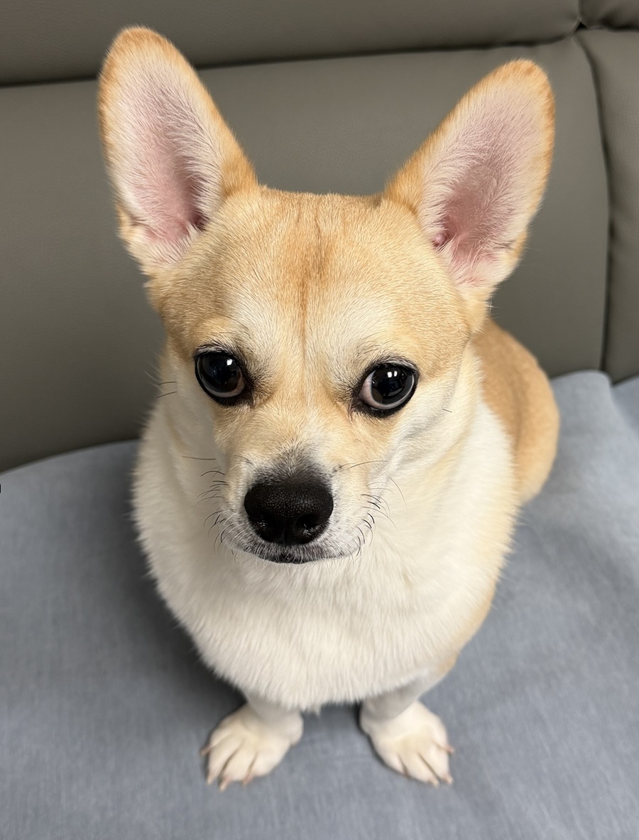 da340b5d4f964df638e195822fdc8186_1762816446_0314.jpg da340b5d4f964df638e195822fdc8186_1762816446_0314.jpg