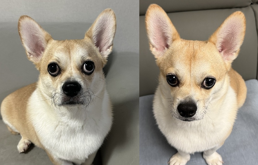 da340b5d4f964df638e195822fdc8186_1762816464_9988.jpg da340b5d4f964df638e195822fdc8186_1762816464_9988.jpg