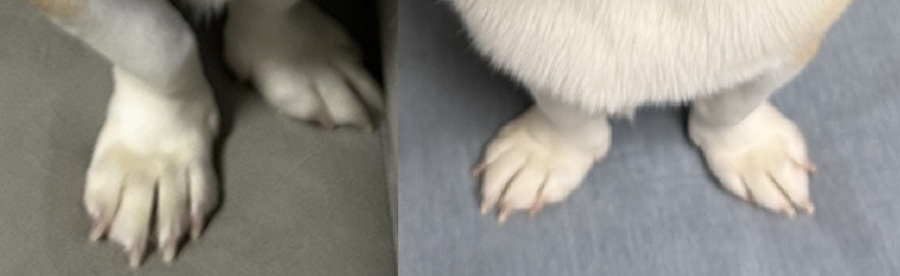 da340b5d4f964df638e195822fdc8186_1762816884_4644.jpg da340b5d4f964df638e195822fdc8186_1762816884_4644.jpg