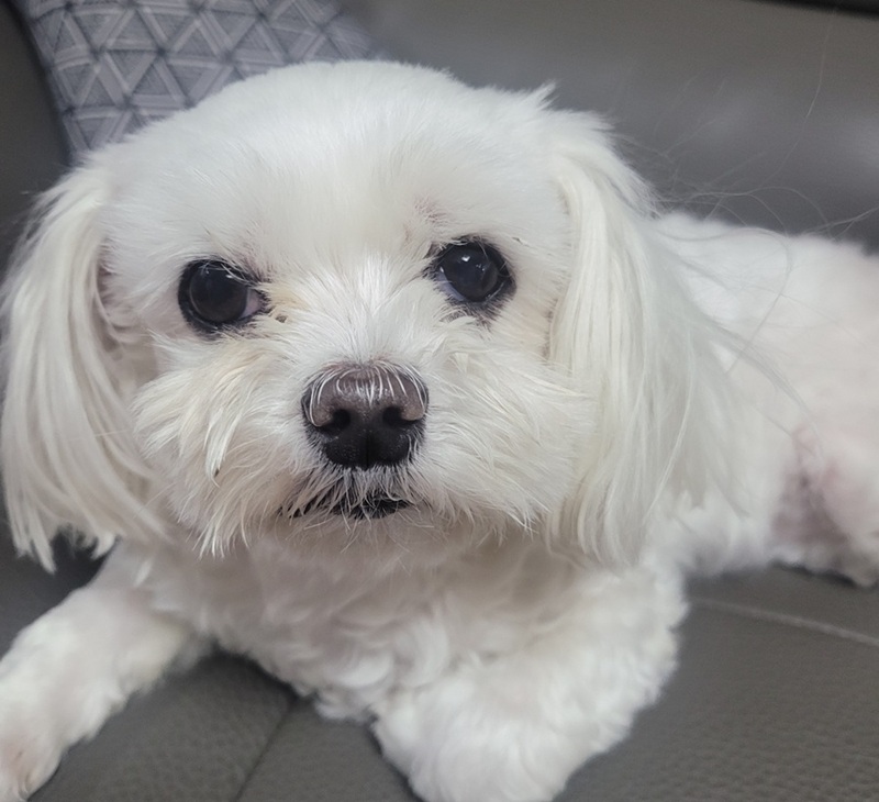 da340b5d4f964df638e195822fdc8186_1762836203_0755.jpg da340b5d4f964df638e195822fdc8186_1762836203_0755.jpg