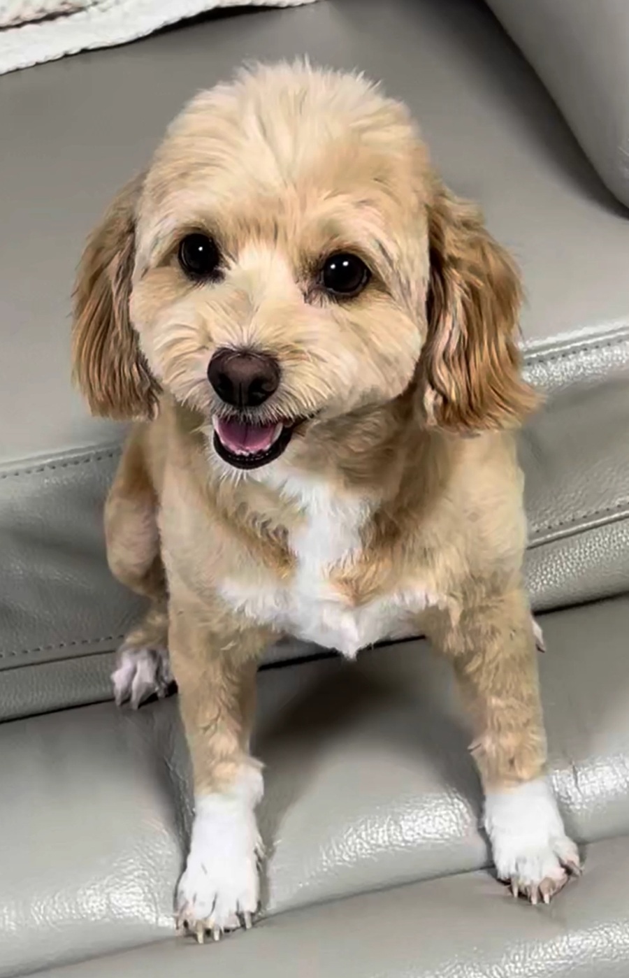 dc1bf03e1995d53c7b031ad3817dbf9b_1762308403_3231.jpg dc1bf03e1995d53c7b031ad3817dbf9b_1762308403_3231.jpg