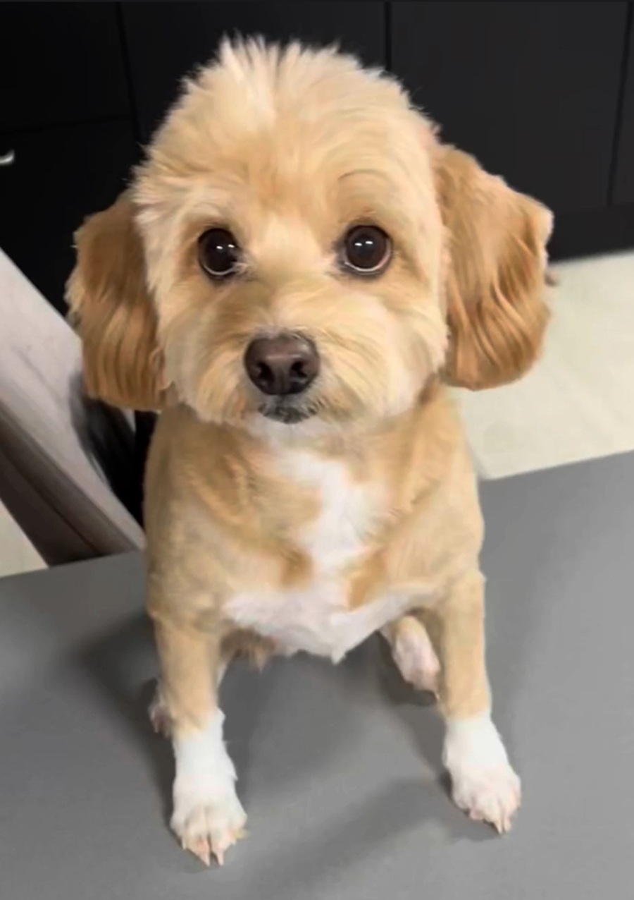 dc1bf03e1995d53c7b031ad3817dbf9b_1762308512_7947.jpg dc1bf03e1995d53c7b031ad3817dbf9b_1762308512_7947.jpg