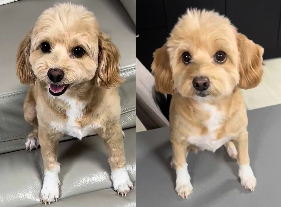 dc1bf03e1995d53c7b031ad3817dbf9b_1762308542_5066.jpg dc1bf03e1995d53c7b031ad3817dbf9b_1762308542_5066.jpg