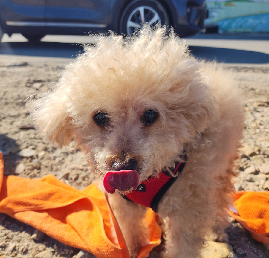 edf7a912ad20e9caed3a6fb9f6298fd6_1761978364_8109.jpg edf7a912ad20e9caed3a6fb9f6298fd6_1761978364_8109.jpg