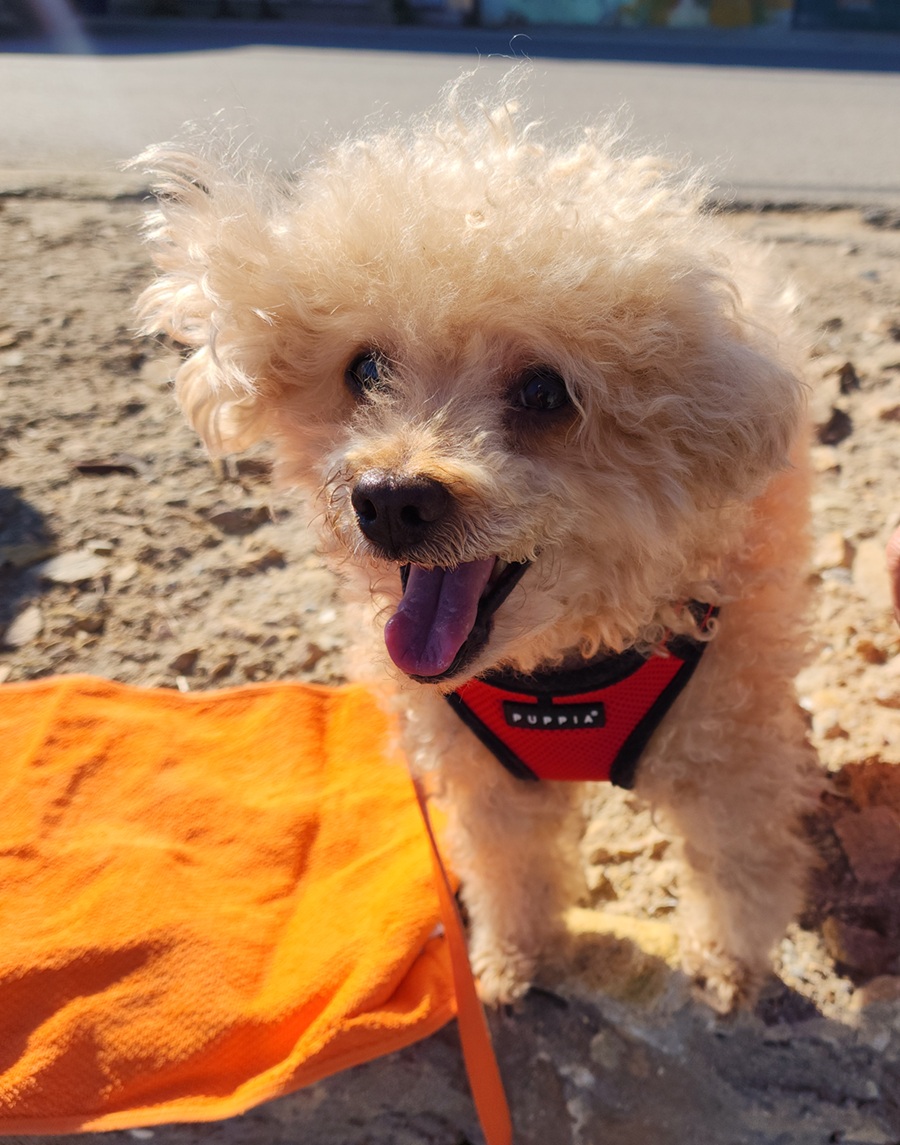 edf7a912ad20e9caed3a6fb9f6298fd6_1761978384_2742.jpg edf7a912ad20e9caed3a6fb9f6298fd6_1761978384_2742.jpg