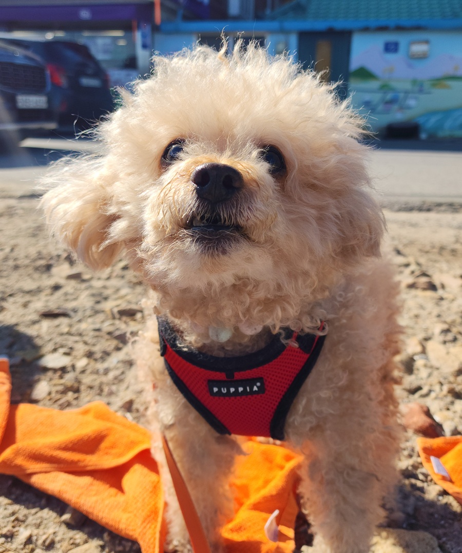 edf7a912ad20e9caed3a6fb9f6298fd6_1761978398_9224.jpg edf7a912ad20e9caed3a6fb9f6298fd6_1761978398_9224.jpg