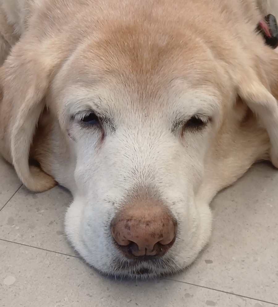 5806bf854736185bdd82e15f185a5c0f_1765203842_1104.jpg 5806bf854736185bdd82e15f185a5c0f_1765203842_1104.jpg