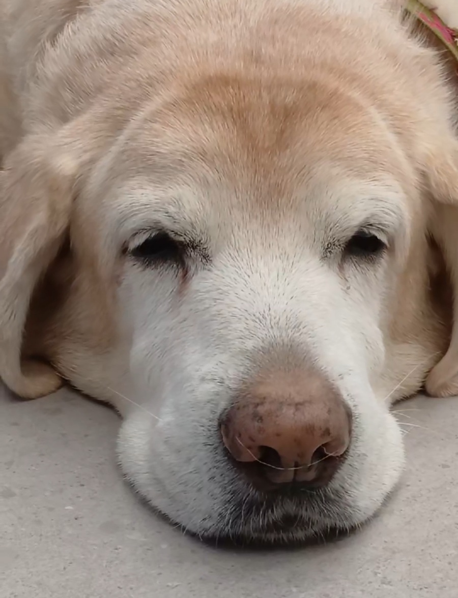 5806bf854736185bdd82e15f185a5c0f_1765203891_3772.jpg 5806bf854736185bdd82e15f185a5c0f_1765203891_3772.jpg