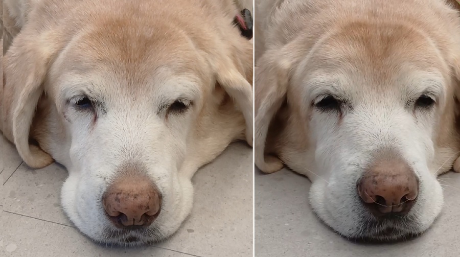 5806bf854736185bdd82e15f185a5c0f_1765203948_2391.jpg 5806bf854736185bdd82e15f185a5c0f_1765203948_2391.jpg