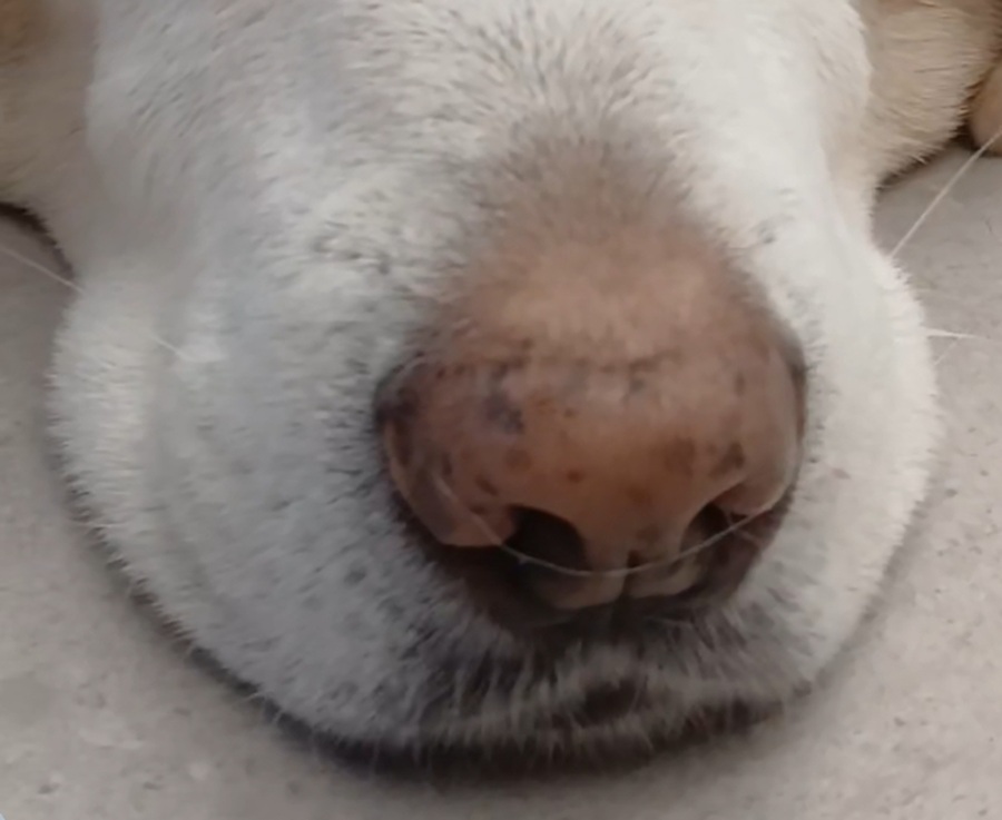 8dab589a62701e37839e8a7198dd1069_1764578070_9445.jpg 8dab589a62701e37839e8a7198dd1069_1764578070_9445.jpg