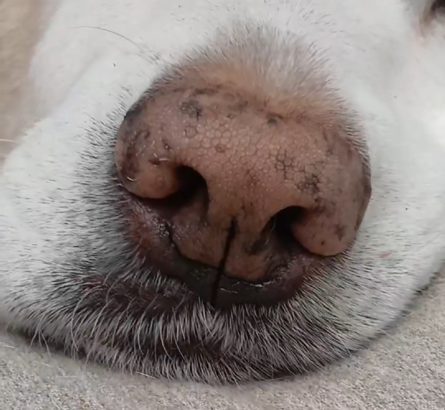 8dab589a62701e37839e8a7198dd1069_1764578147_3978.jpg 8dab589a62701e37839e8a7198dd1069_1764578147_3978.jpg