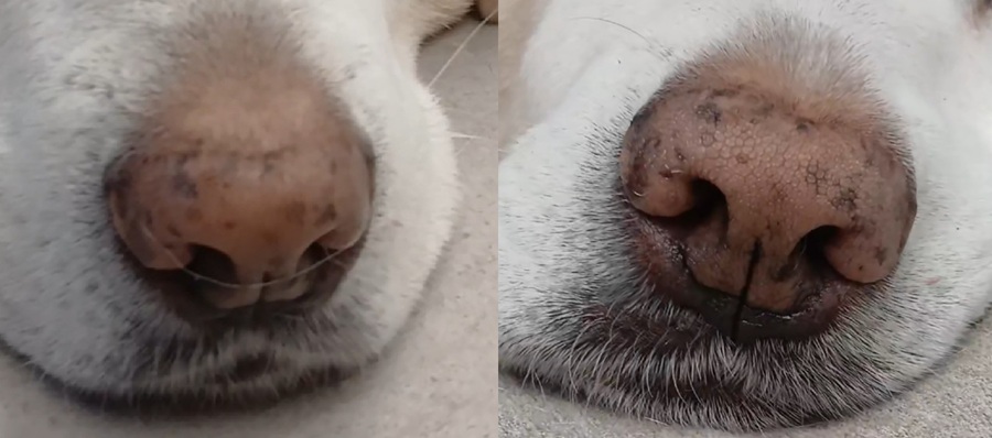 8dab589a62701e37839e8a7198dd1069_1764578177_5761.jpg 8dab589a62701e37839e8a7198dd1069_1764578177_5761.jpg