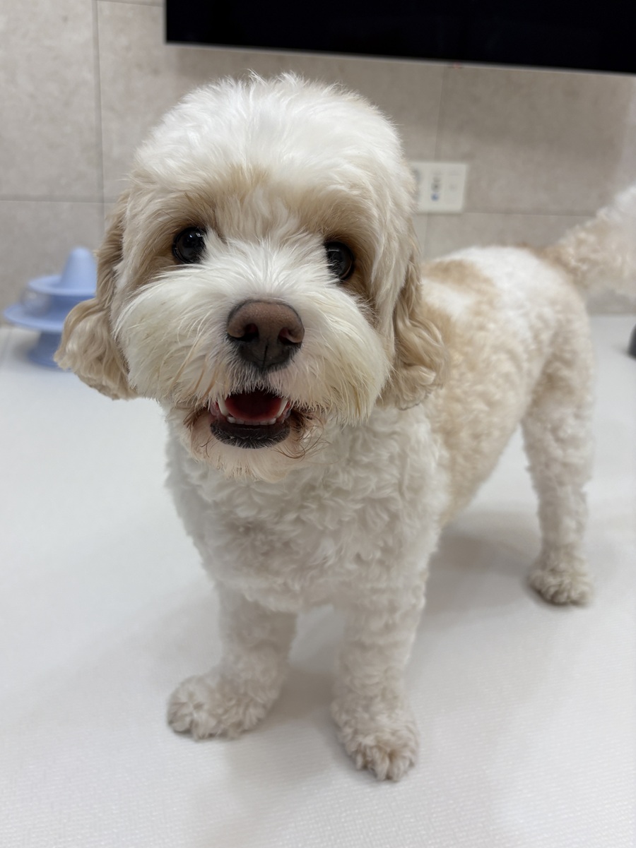 8dab589a62701e37839e8a7198dd1069_1764664005_9296.jpg 8dab589a62701e37839e8a7198dd1069_1764664005_9296.jpg