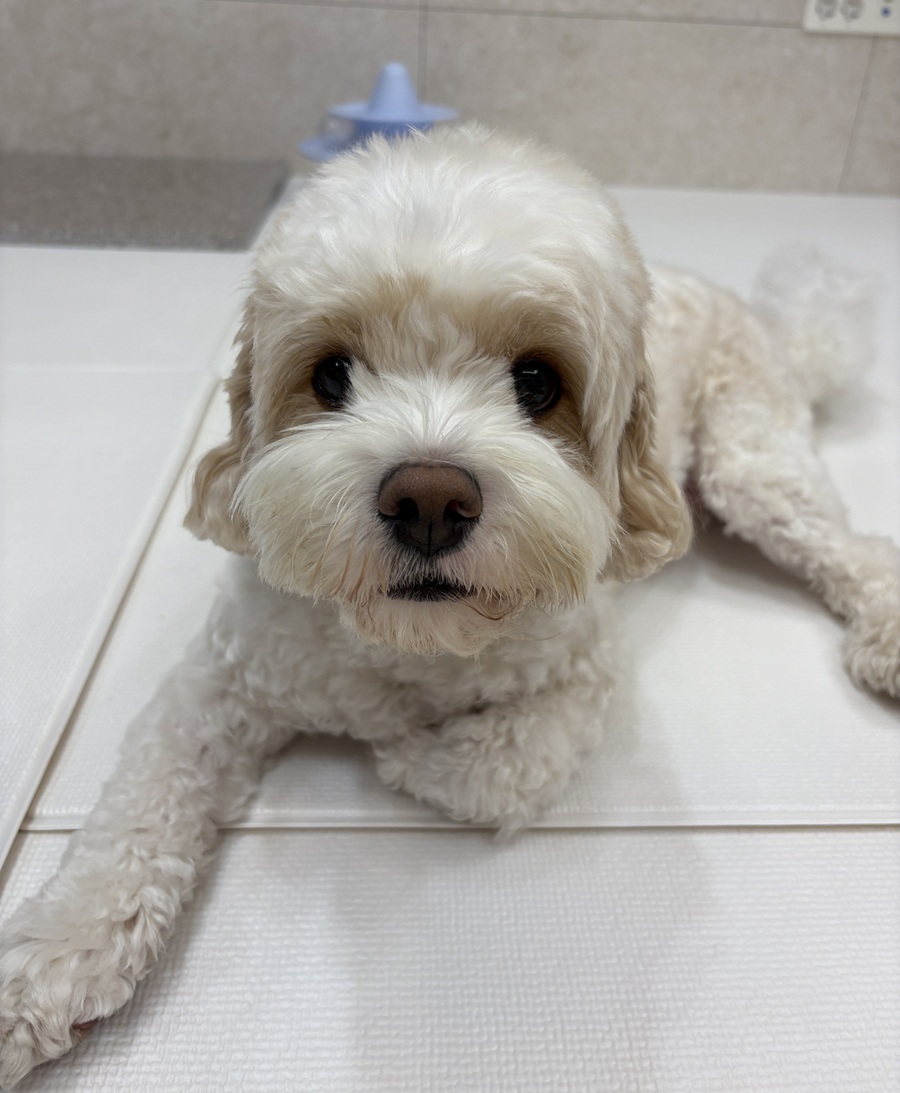 8dab589a62701e37839e8a7198dd1069_1764664030_384.jpg 8dab589a62701e37839e8a7198dd1069_1764664030_384.jpg