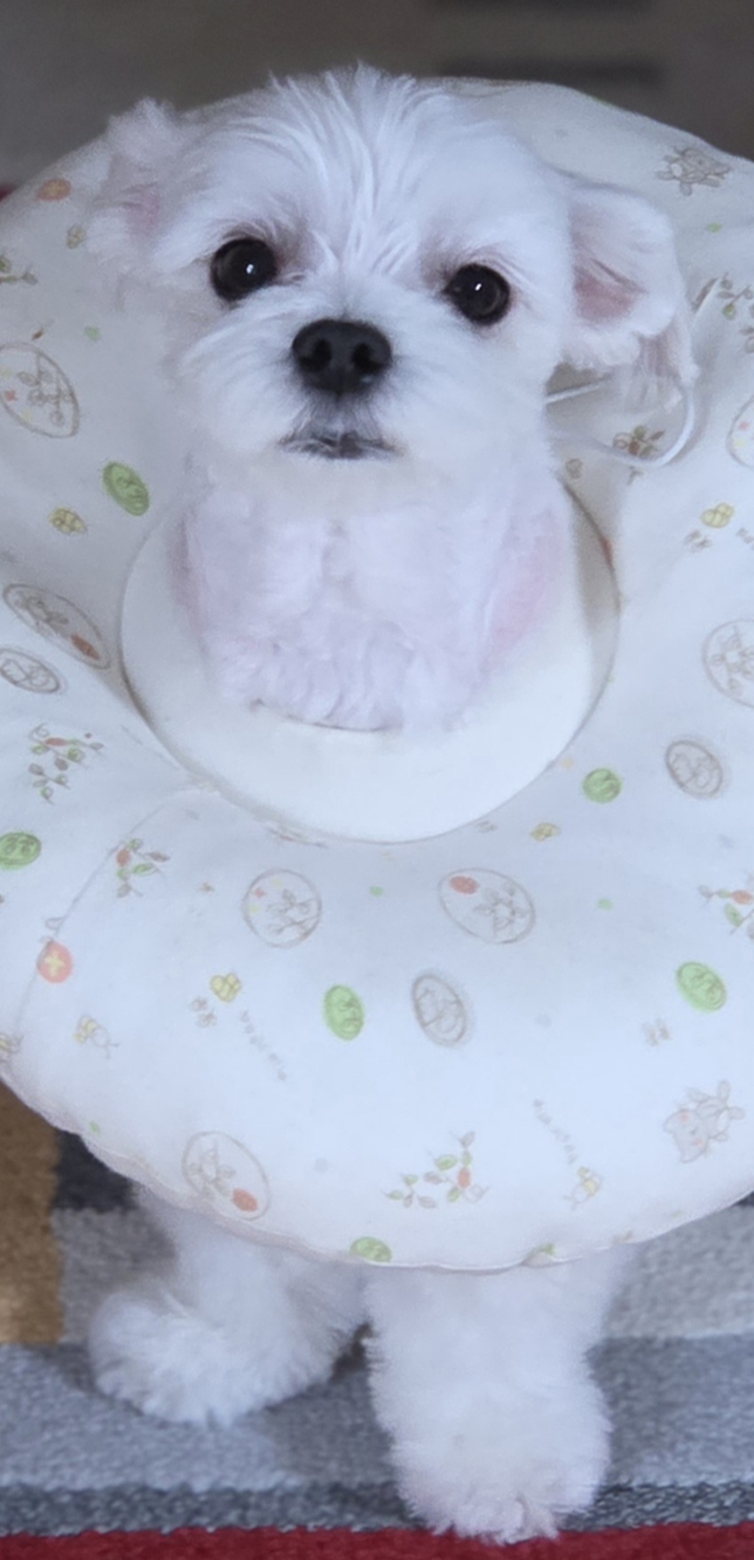 8dab589a62701e37839e8a7198dd1069_1764672344_2646.jpg 8dab589a62701e37839e8a7198dd1069_1764672344_2646.jpg