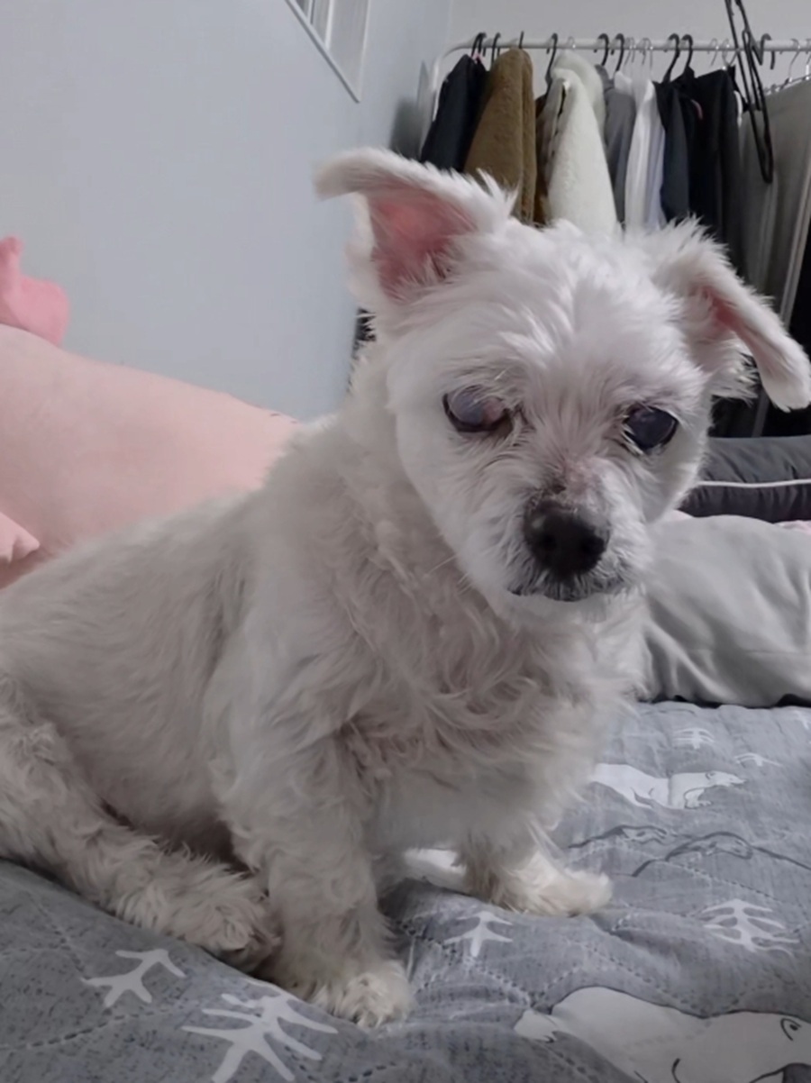 8dab589a62701e37839e8a7198dd1069_1764747517_161.jpg 8dab589a62701e37839e8a7198dd1069_1764747517_161.jpg