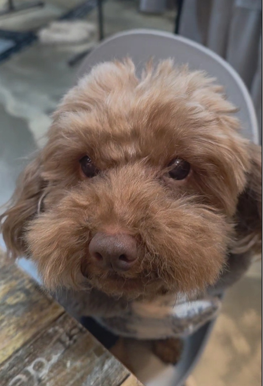 8dab589a62701e37839e8a7198dd1069_1764847497_1944.jpg 8dab589a62701e37839e8a7198dd1069_1764847497_1944.jpg